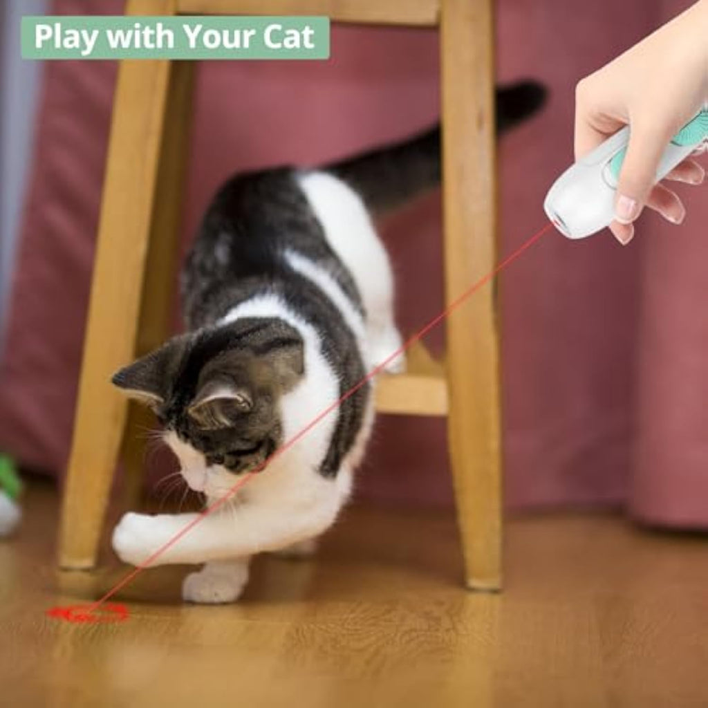 Rechargeable Cat Laser Pointer and Feather Wand Toy