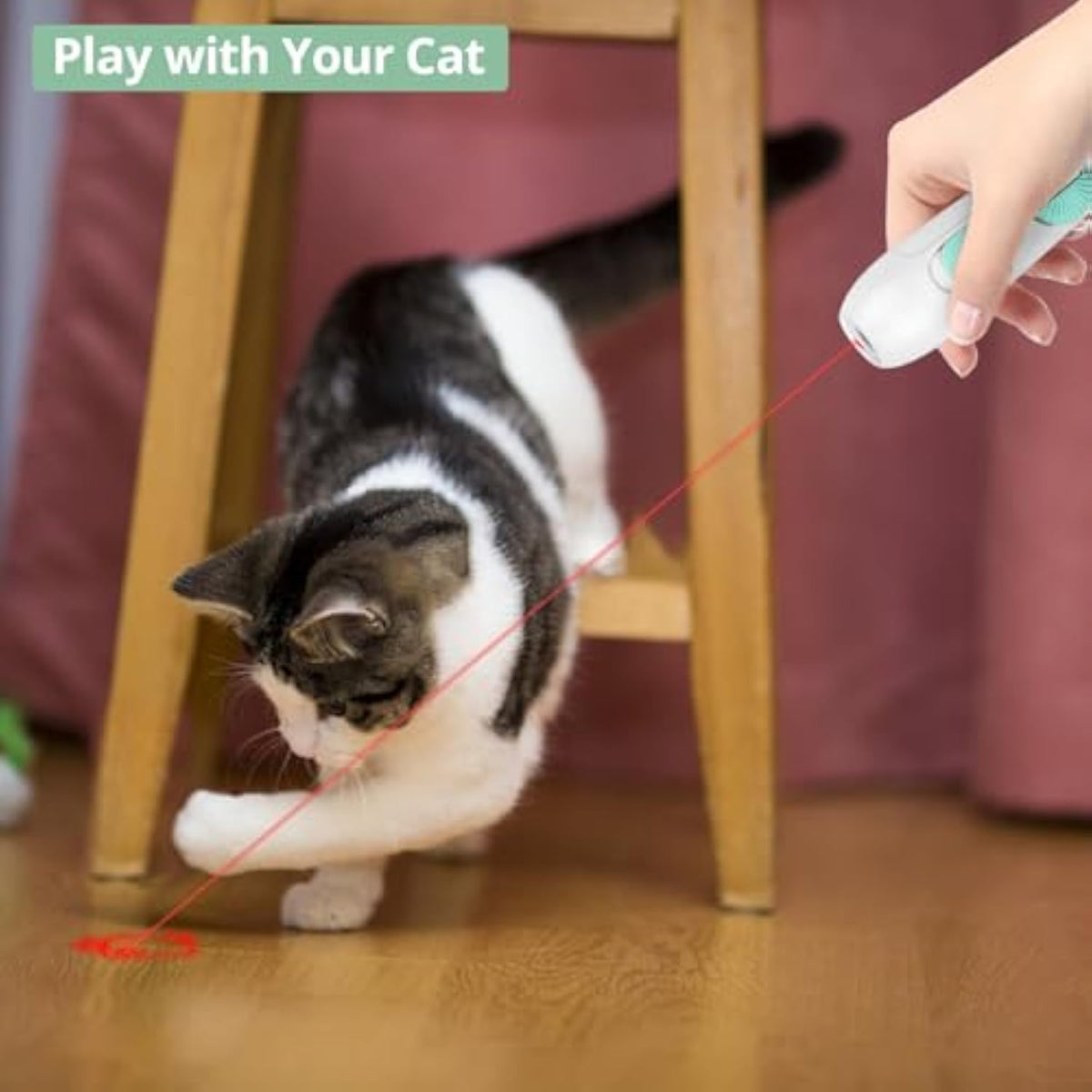 Rechargeable Cat Laser Pointer and Feather Wand Toy