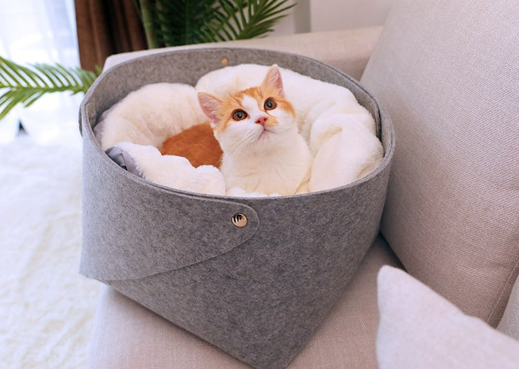 detachable enclosed pet bed