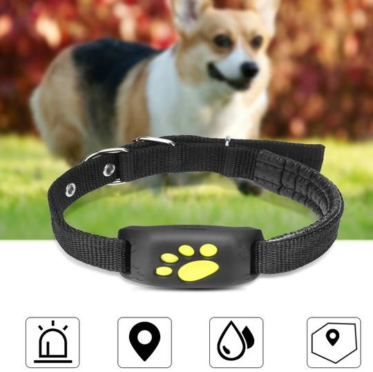 gps pet tracker for dogs and cats