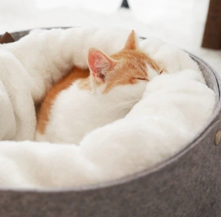 detachable enclosed pet bed