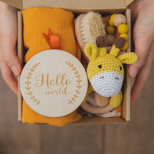 baby teether gift set