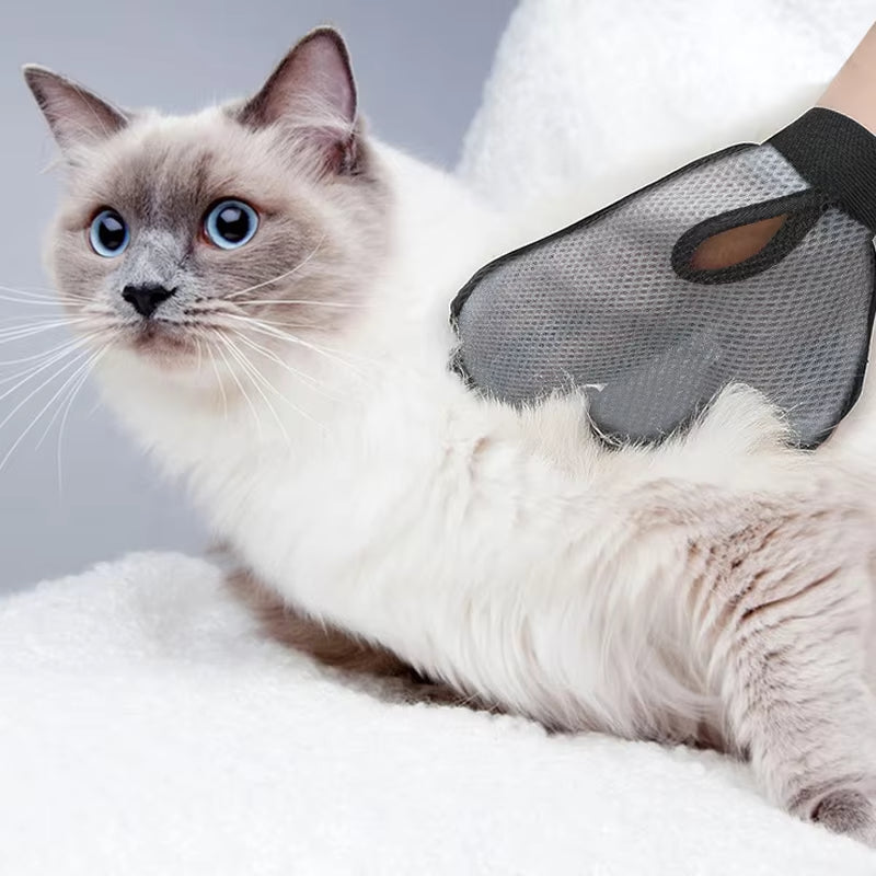 Silicone Pet Grooming Glove for Dogs and Cats