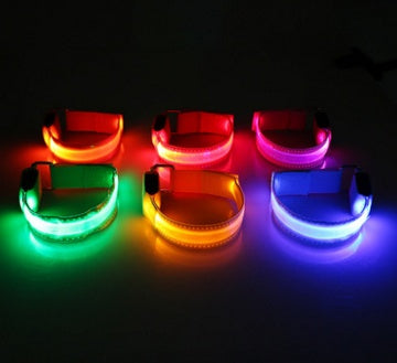 Rechargeable LED Safety Collar for Dogs