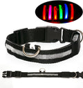 Rechargeable LED Safety Collar for Dogs