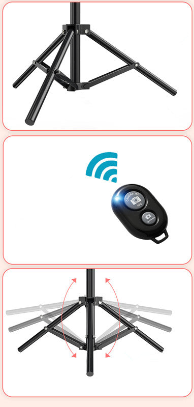 10 Inch Selfie Ring Light for Photos and Video Calls
