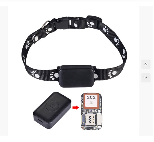 gps pet tracker